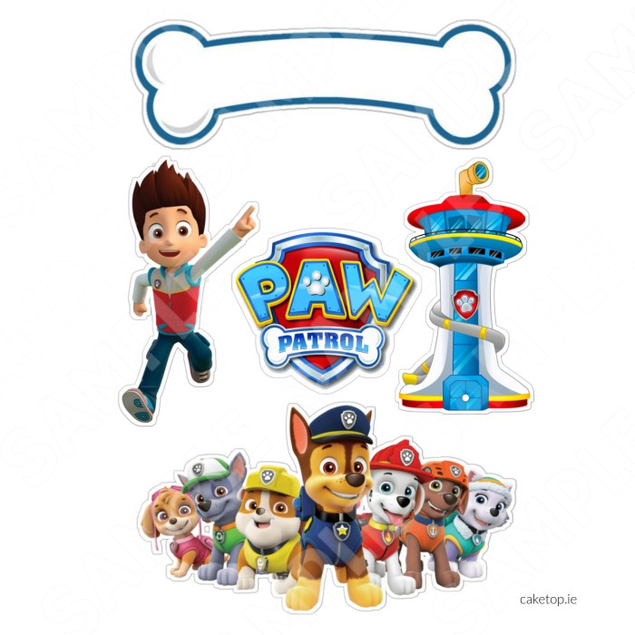 Paw patrol cake decorating kit