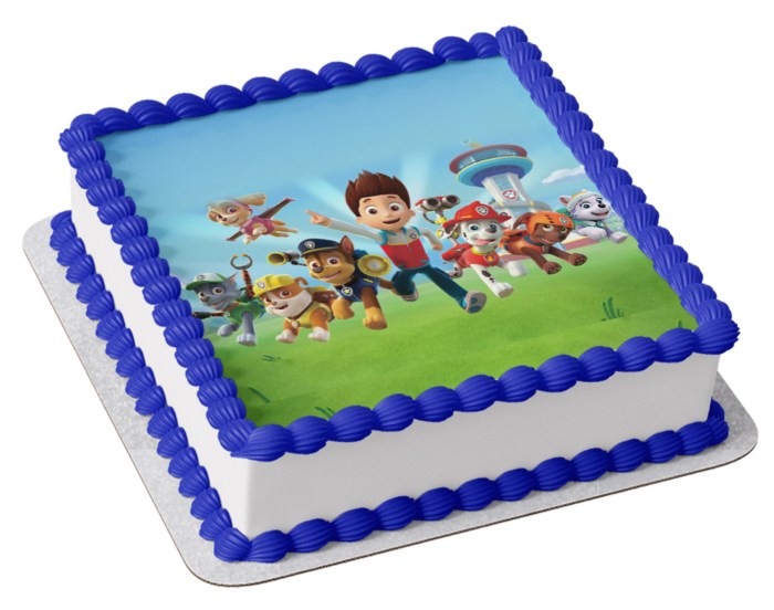 Paw patrol cake decorating kit